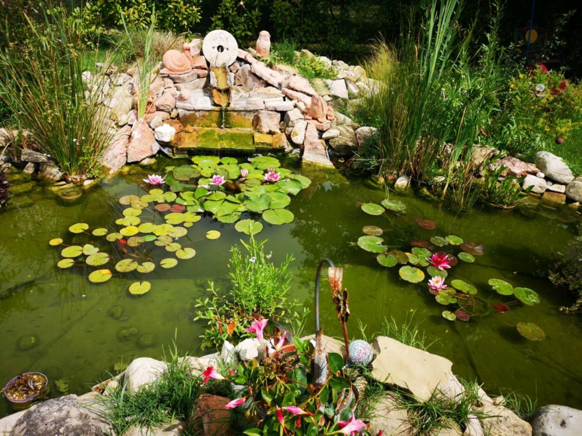 River Melody Bettona Exterior foto